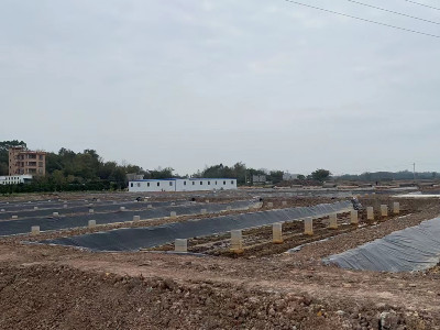 鹽城徐總拿下新棚，購(gòu)買40臺(tái)恩拓博高速增氧機(jī)