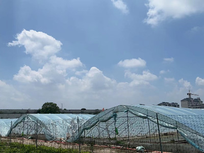 恩拓博高速增氧機(jī)上海使用案例！